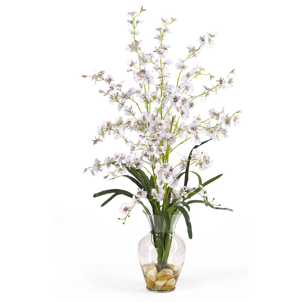31" Dancing Lady Orchid Flower Arrangement in Glass Vase